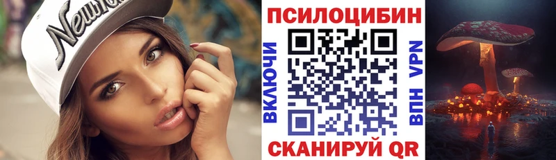 KRAKEN зеркало  Пудож  Псилоцибиновые грибы Magic Shrooms 